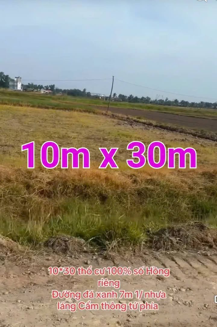 Đất nền Đức Lập Hạ, Đức Hòa, Long An 300m² giá 1.5 tỷ - Đường nhựa 7m, sổ riêng!