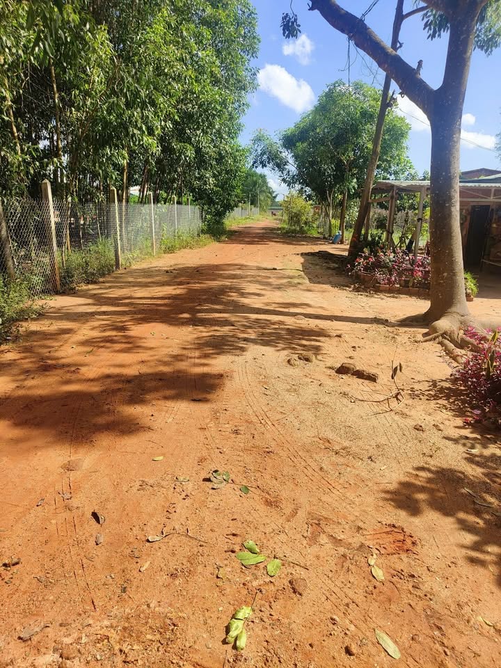 Đất thổ cư mặt tiền đường đỏ chà bá 154m² giá chỉ 250 triệu - Cơ hội đầu tư tuyệt vời!