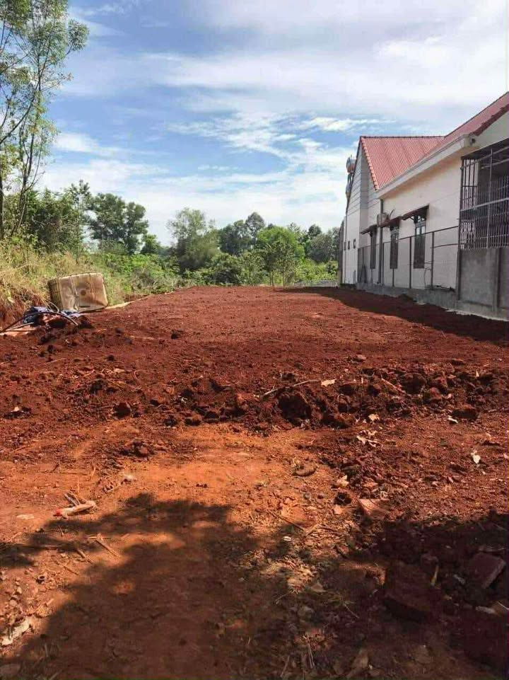 Đất mặt tiền đường Nguyễn Huệ, thị trấn Lộc Ninh 260m² - Cơ hội kinh doanh hấp dẫn!