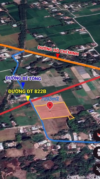 Lô đất Hiệp Hòa, Đức Hòa 7093m² giá 400 triệu - Tiềm năng đầu tư lớn!