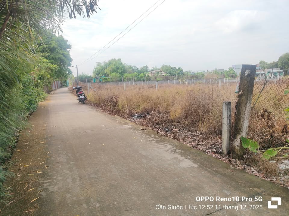 Đất thổ cư 161m² tại Ấp Lộc Trung, Cần Giuộc giá 1.35 tỷ - Sổ đỏ chính chủ!