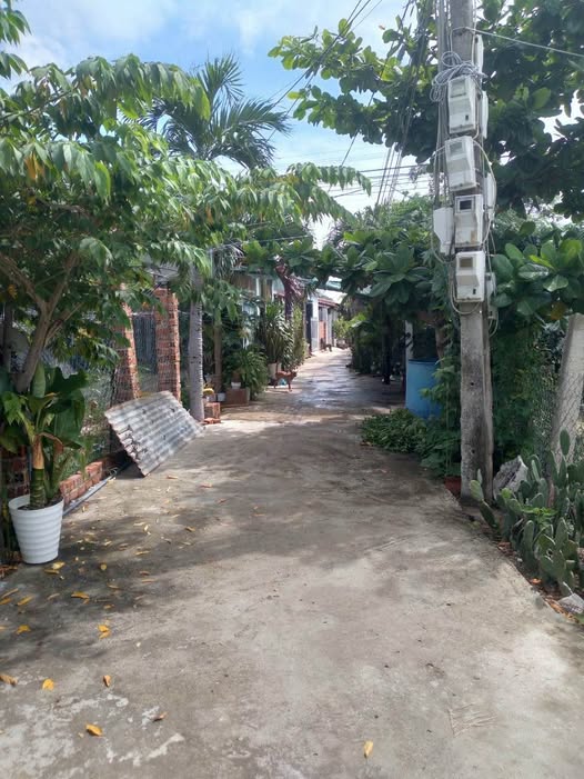 Đất nền hẻm Thăng Long, Phú Thạnh 93m² giá 300 triệu - Cơ hội đầu tư tuyệt vời!