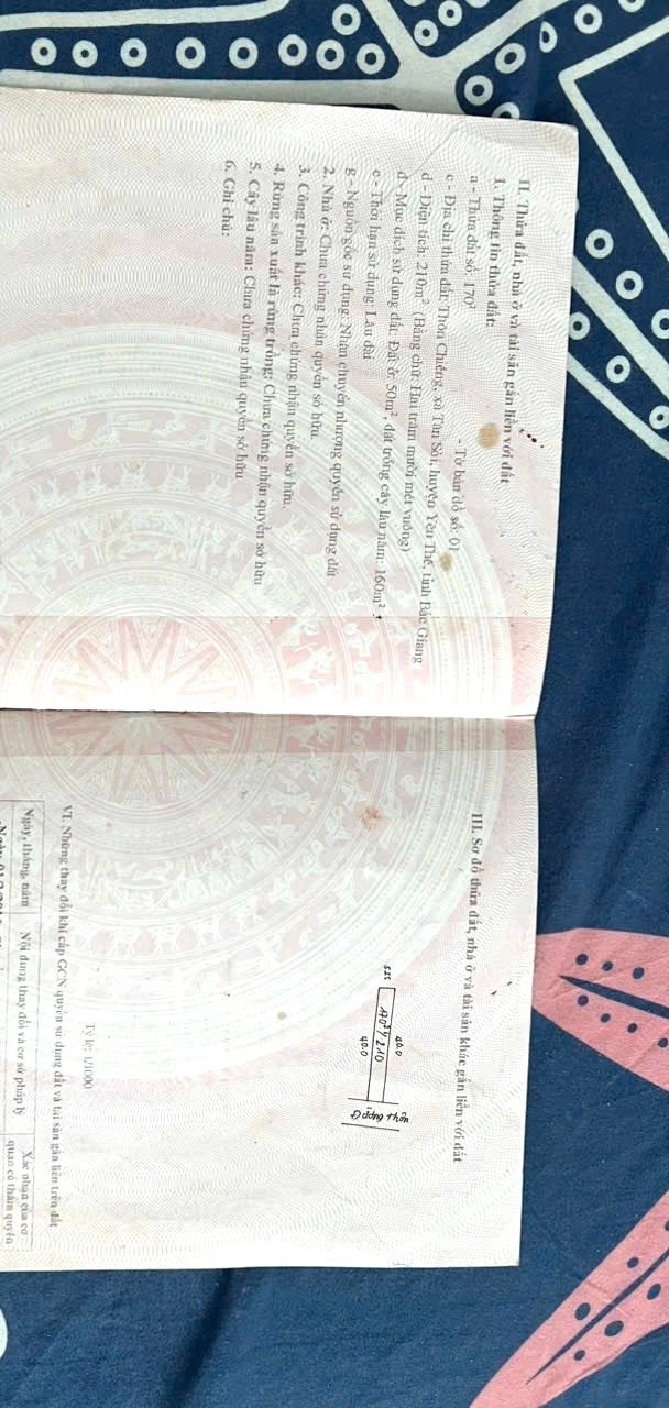 Đất nền thôn Chiềng, xã Tân Sỏi, Yên Thế 240m² giá 699 triệu - Cơ hội đầu tư tuyệt vời!