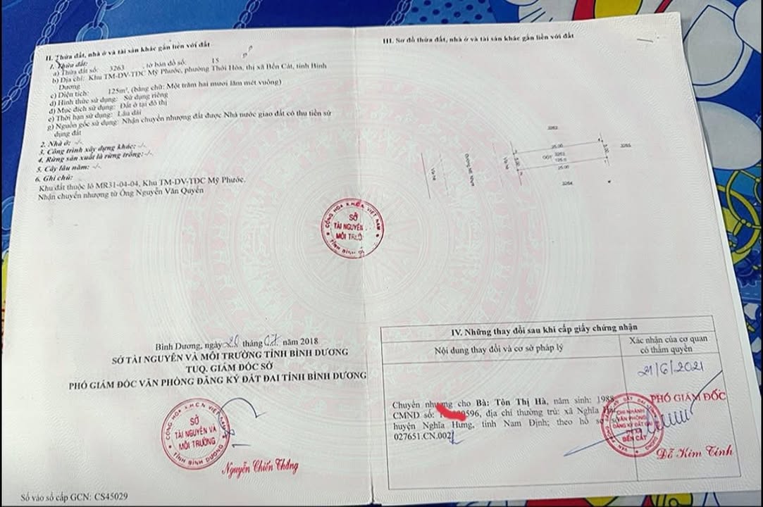 Lô đất 125m² đường N6, Mỹ Phước - Kinh doanh đa ngành, giá thỏa thuận!