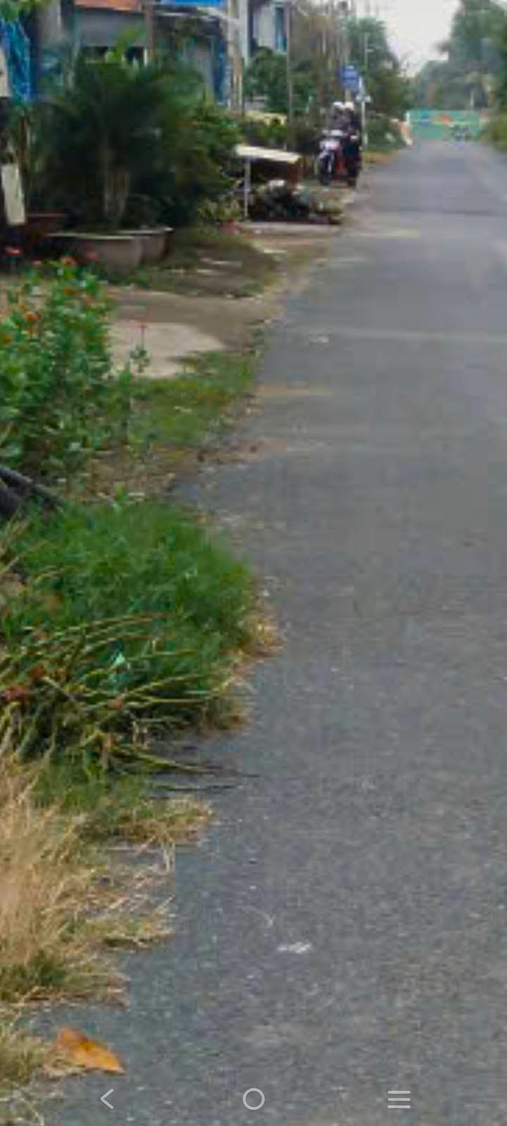 Đất mặt tiền 37m tại Thanh Bình Đồng Tháp 50.000m² giá 2 tỷ - Cơ hội đầu tư hấp dẫn!