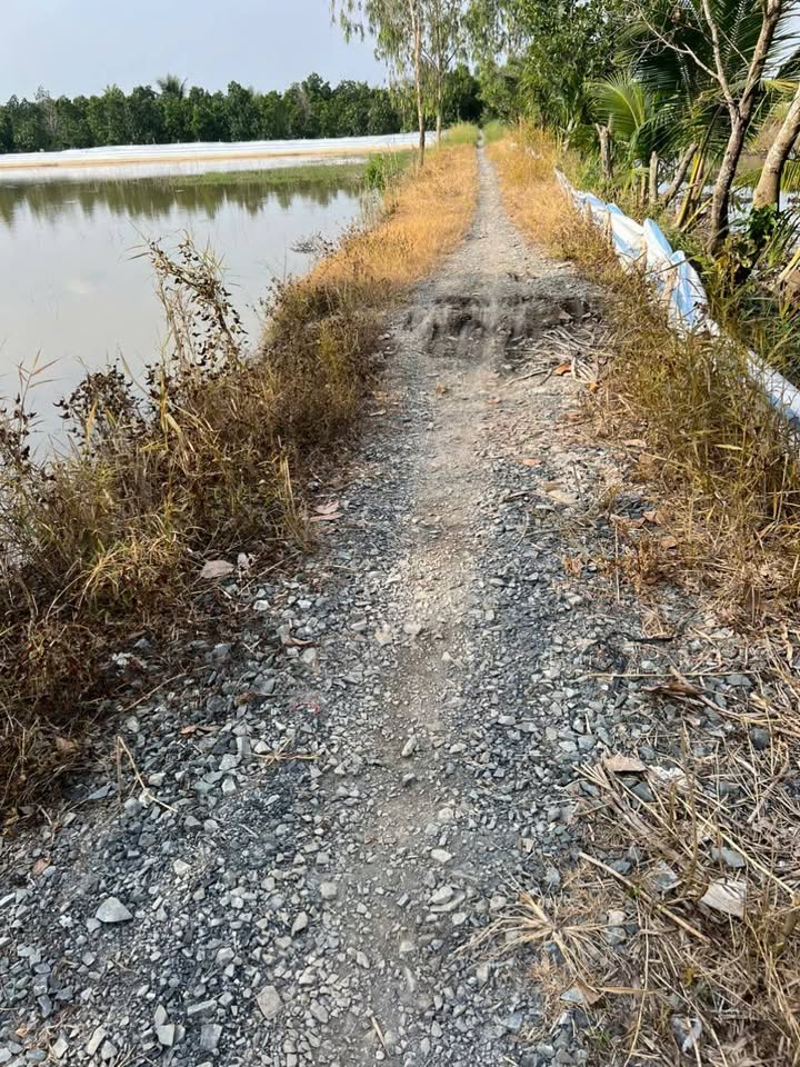 Đất nền xã Tân Dương 14.000m² giá 1.633 tỷ - Gần chợ Hòa Thành!