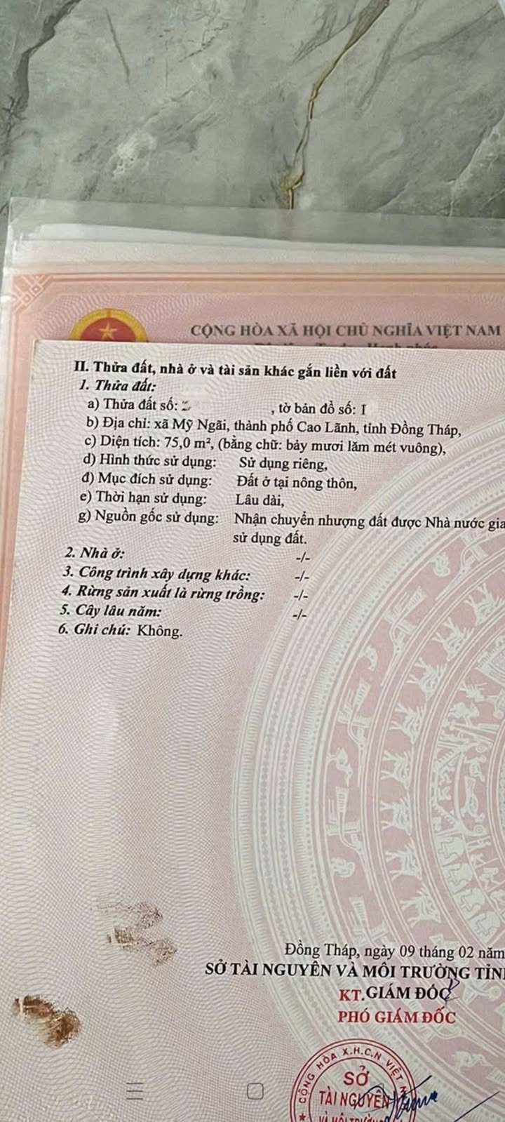 Đất nền đường Nguyễn Chí Thanh, Mỹ Ngãi, 75m² giá 1.2 tỷ - Gần chợ, trường học!