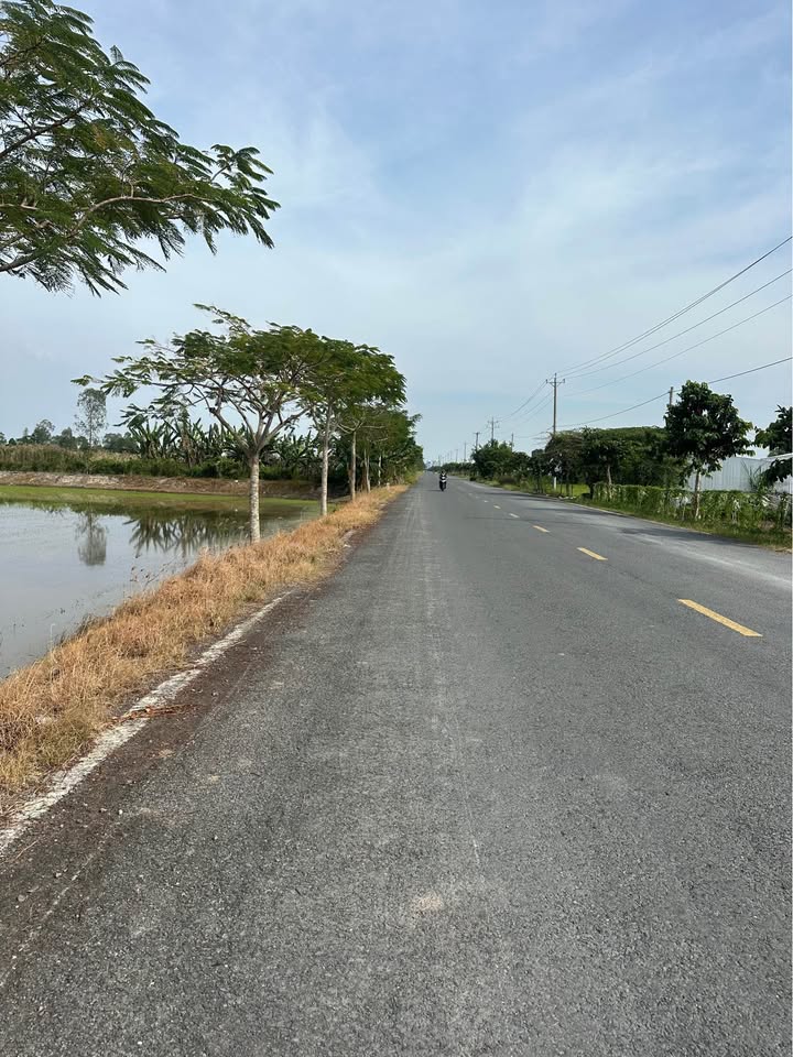 Đất nền đẹp tại xã Bình Thạnh Trung, huyện Lấp Vò, 5841m² giá chỉ 1.2 tỷ - Pháp lý rõ ràng!