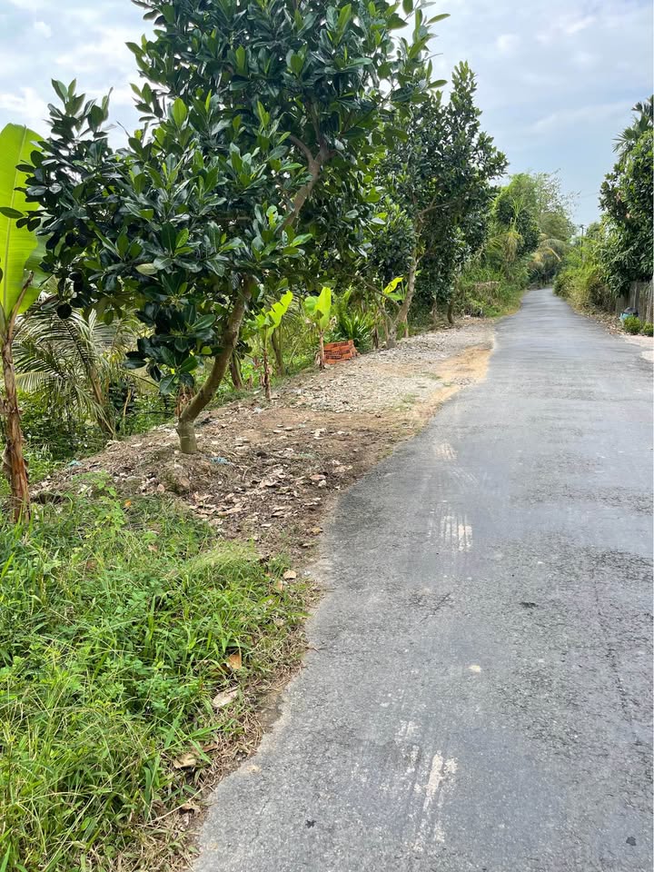 Đất nền Tháp Mười Đồng Tháp 530m² giá 850 triệu - Sổ hồng đầy đủ, thương lượng chính chủ!