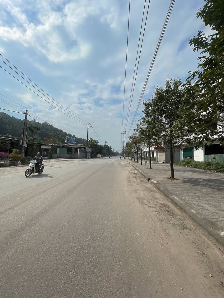 Đất mặt đường Trần Hưng Đạo Sầm Sơn 115,9m² giá chỉ 3,2 tỷ - Sổ đỏ chính chủ!