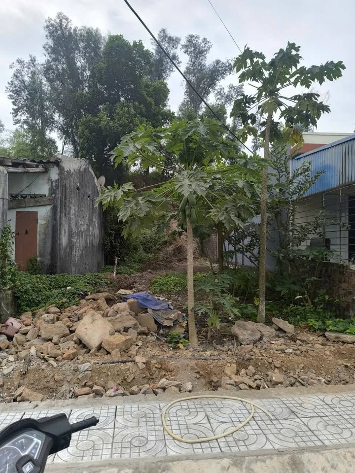 Đất nền 100m² mặt đường thôn mới, Ngũ Lão, Thủy Nguyên - Sổ đỏ chính chủ giá 1.3 tỷ