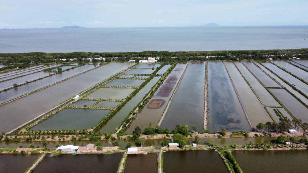 Đất nền mặt tiền đường đê Quốc phòng 310m² xã Bình Trị, Kiên Lương - Cơ hội đầu tư lý tưởng!