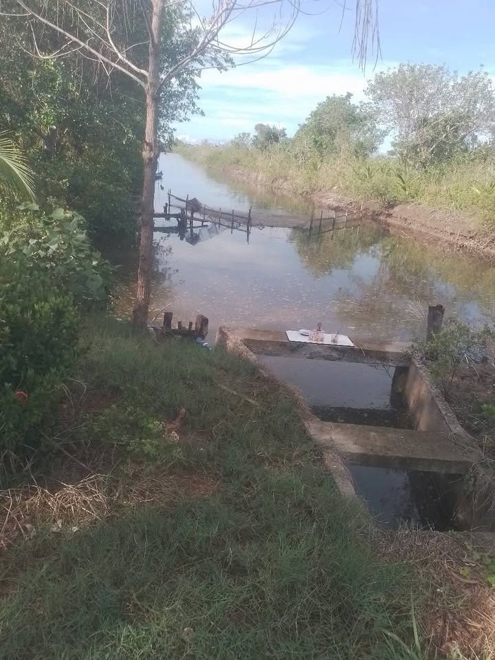 Đất vuông tôm - cua 10 công tại xã Tân Hải, huyện Phú Tân, giá 1.3 tỷ - Đầu tư sinh lời ngay!