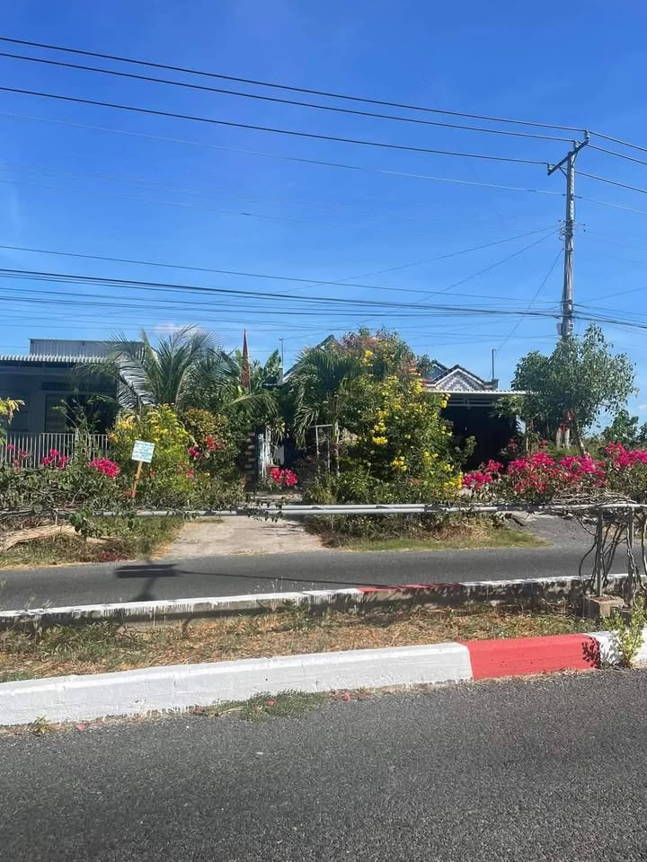 Đất đẹp Rạch Gốc, Ngọc Hiển 618,1m² giá 1,65 tỷ - Kết nối duyên lành!