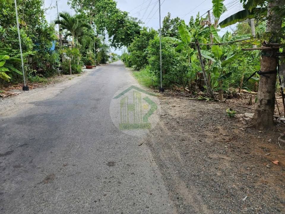 Đất nền 540m² tại ấp Ninh Phước, Bạc Liêu - Kinh doanh thuận lợi!