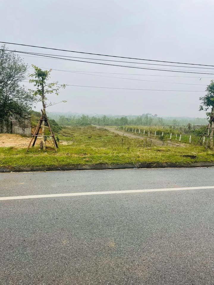 Đất nền Kỳ Trinh, Kỳ Anh 250m² giá 3.1 tỷ - Cơ hội đầu tư sinh lời!