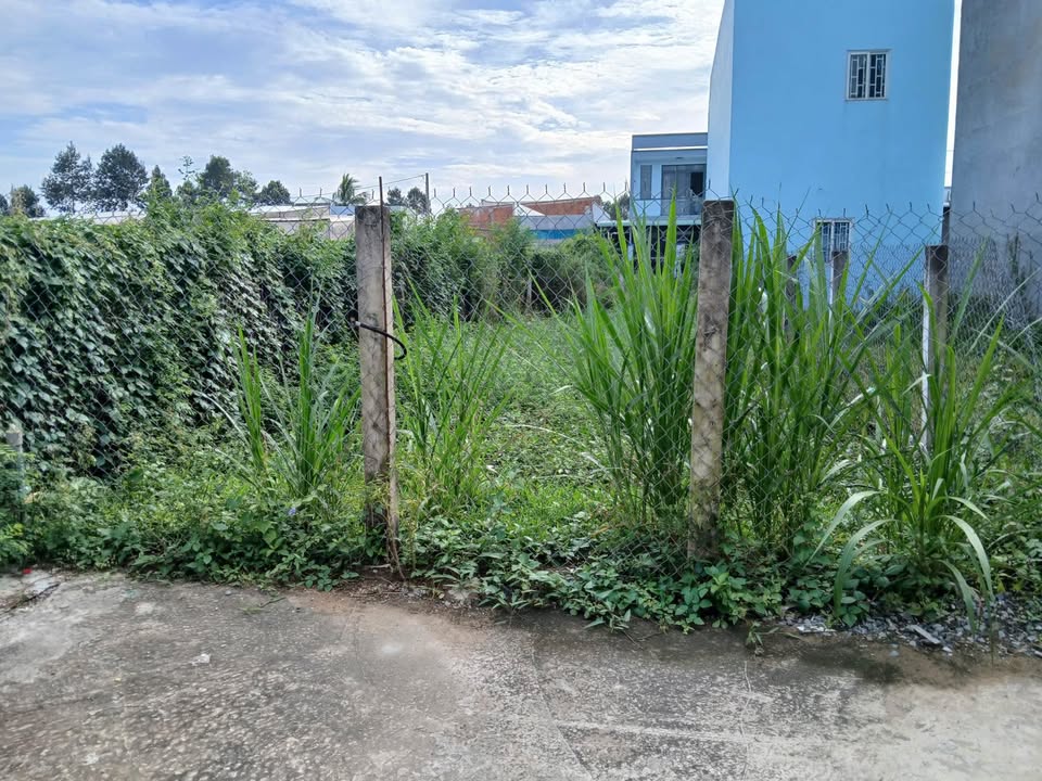 Đất nền Mỹ Lợi, Phường Mỹ Phong 90m² giá chỉ 600 triệu - Đầu tư sinh lời ngay!