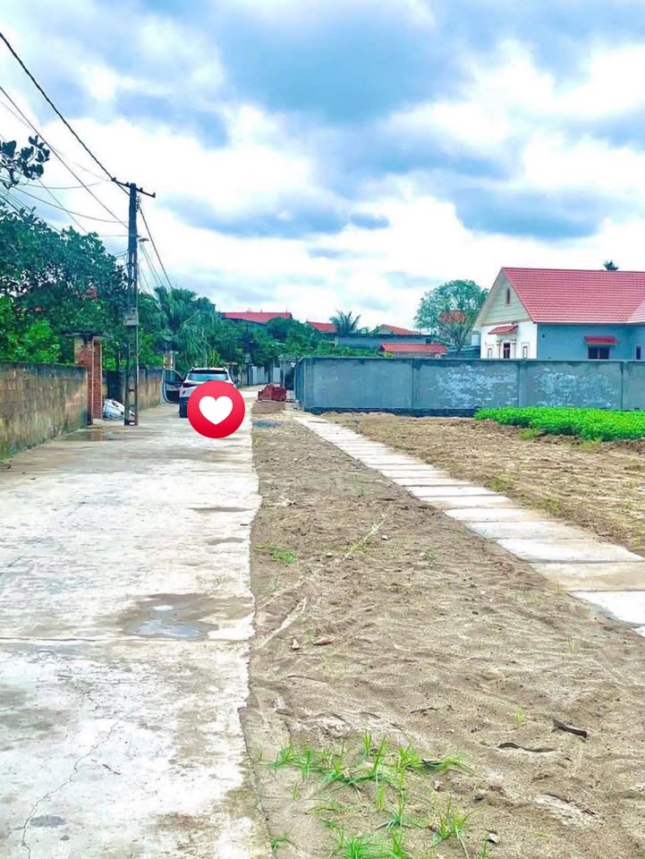 Đất nền Tân Phong, Ninh Giang 124m² giá 1.25 tỷ - Đầu tư sinh lời cao!