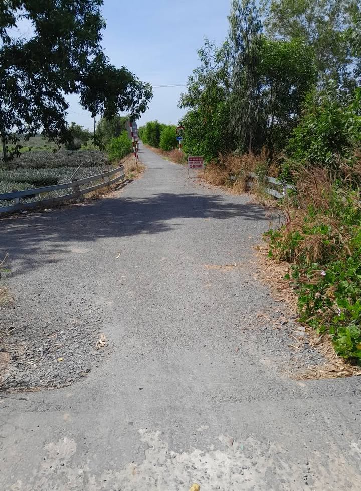 Đất nền 5.000m² xã Tân Phước, huyện Gò Công Đông - Giá chỉ 1.25 tỷ!