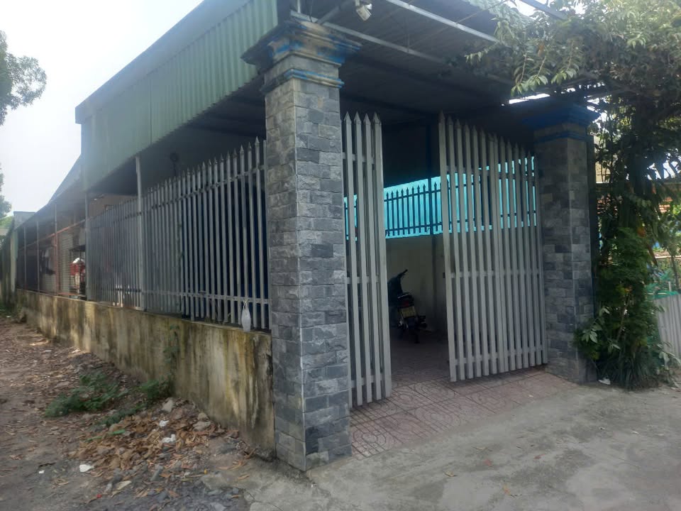 Nhà cấp 4 An Phước, Long Thành 230m² giá 3.6 tỷ - Khu dân cư đông đúc, an ninh tốt!