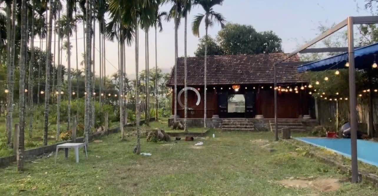 Lô đất Hòa Bắc 650m² giá 3.52 tỷ - Tiềm năng phát triển mạnh mẽ!