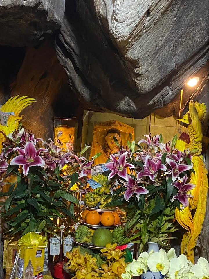 Đất thổ cư Đào Viên Quế Võ 99m² giá thỏa thuận - Đường thông, vị trí đẹp!