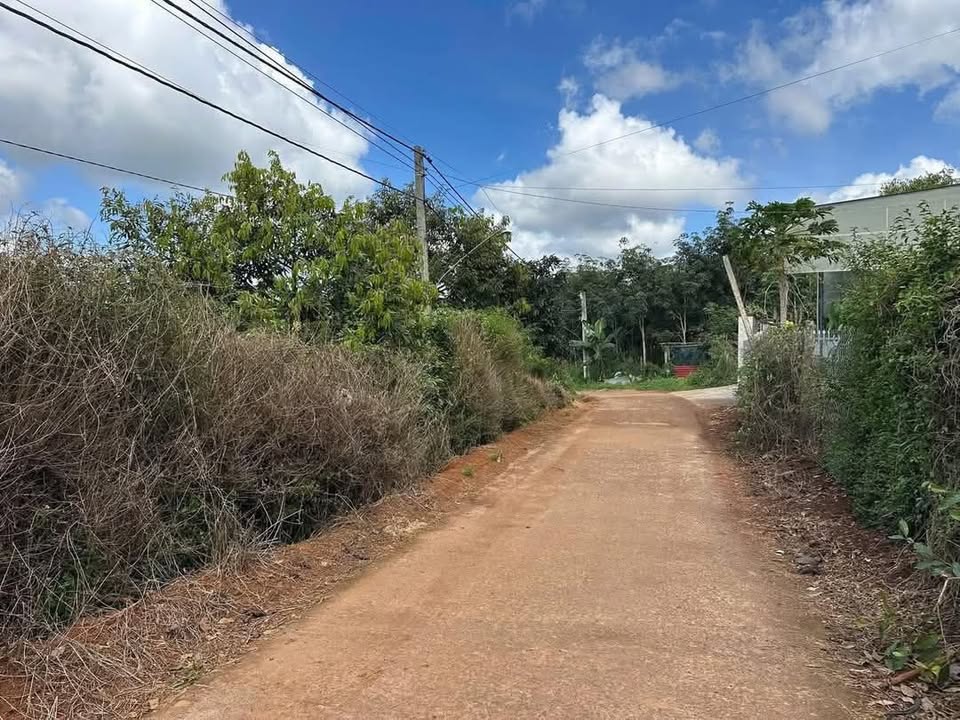 Đất nền Đức Mạnh 210m² giá 450 triệu - Đầu tư sinh lời ngay!