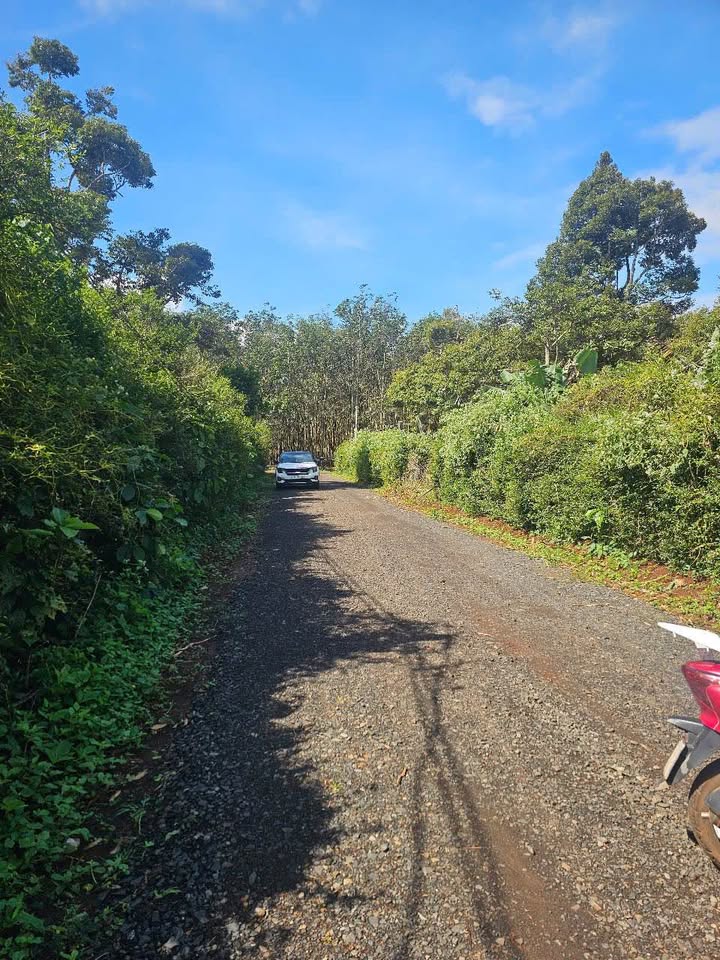 Đất nền phường Tân An, Buôn Ma Thuột 600m² giá 1.27 tỷ - Sổ hồng chính chủ, thương lượng nhẹ!