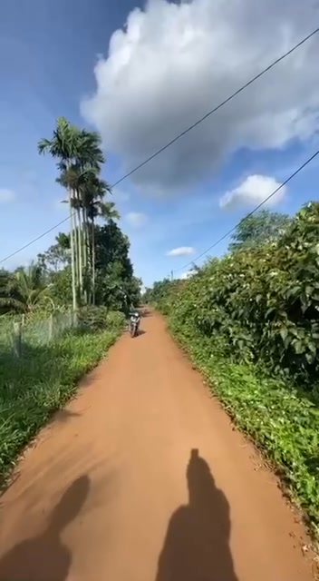 Đất nền Cư Bao, Buôn Hồ 200m² giá chỉ 310 triệu - Cơ hội đầu tư hấp dẫn!