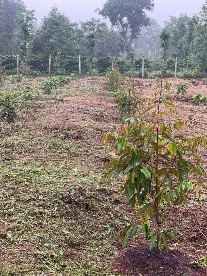 Đất vườn 3 sào Quảng Tiến giá 1.05 tỷ - Đầu tư sinh lời ngay!