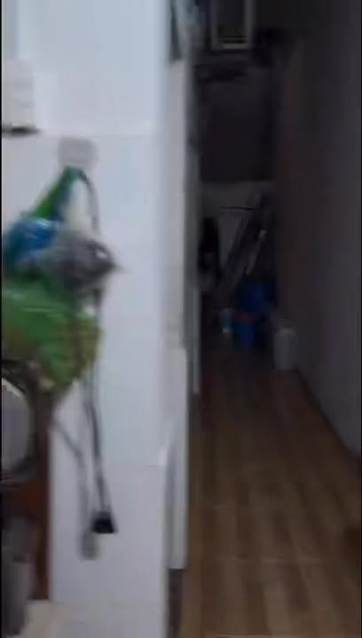 Bán nhà cấp 4 mặt tiền Nguyễn Thị Chạy 98m² giá 4.6 tỷ - Cơ hội đầu tư tuyệt vời!