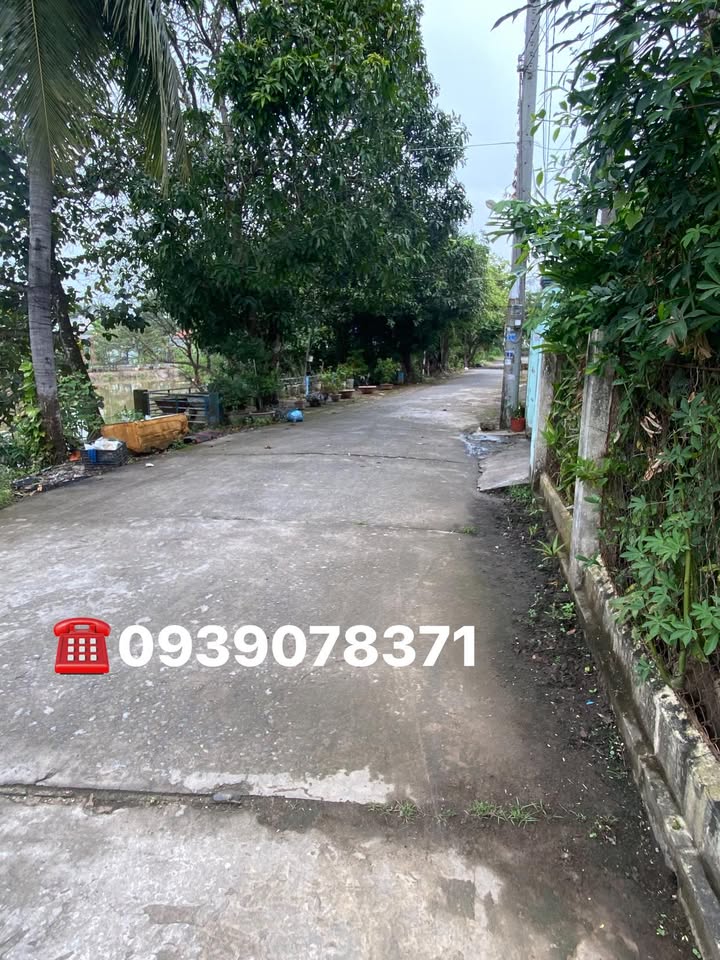 Nhà riêng Đinh Công Tráng, Sa Đéc 125m² giá 2.5 tỷ - Chính chủ bán gấp!