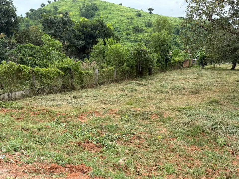 Đất mặt tiền TL 328, xã Hồ Tràm, 540m² giá 4.08 tỷ - Cơ hội đầu tư tuyệt vời!