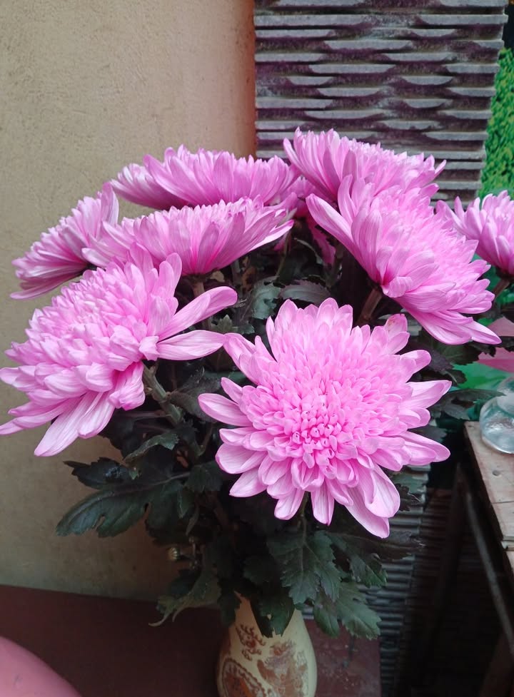 Nhà 2 tầng đường Trần Nguyên Hãn, Bắc Giang 99m² giá 4 tỷ - Ô tô tránh nhau, 2 mặt đường!