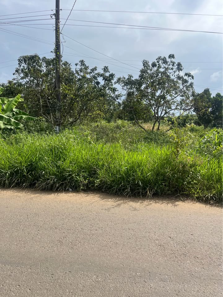 Đất thổ cư Lộc An 200m² giá 1.4 tỷ - Mặt tiền hẻm nhựa thuận tiện!