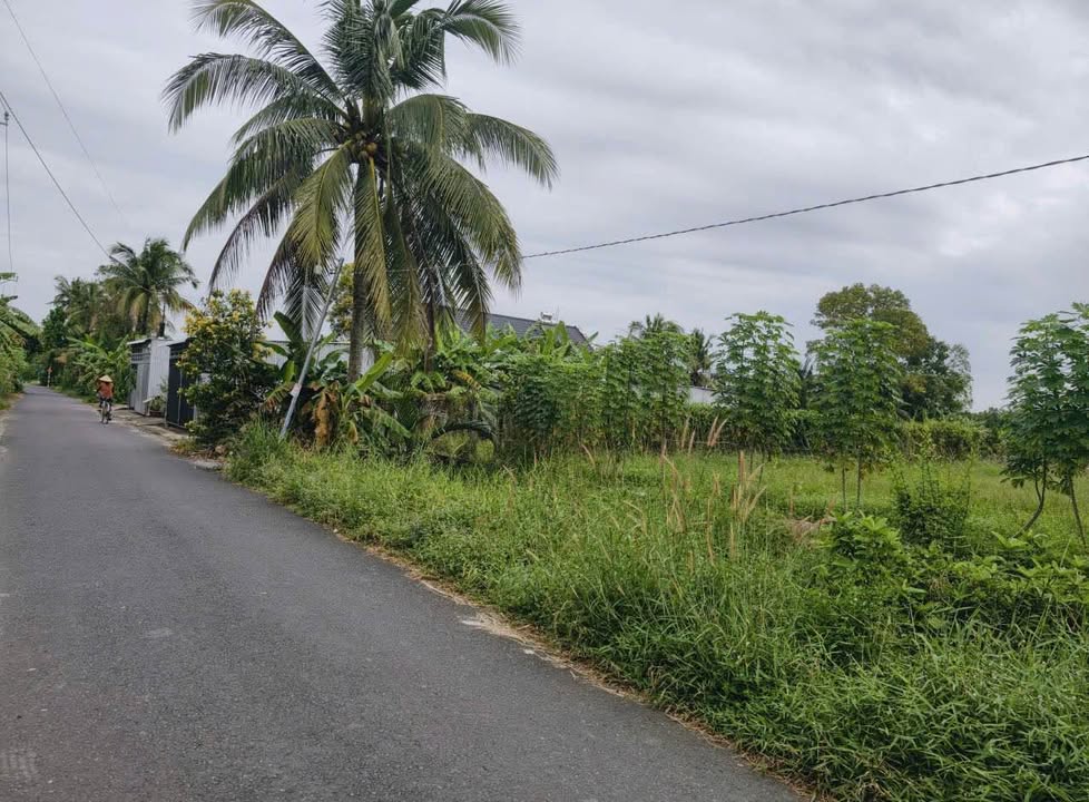 Mặt tiền Nguyễn Viết Xuân, Bình Thủy, 147m² - Giá bán tốt nhất chỉ 1.25 tỷ!