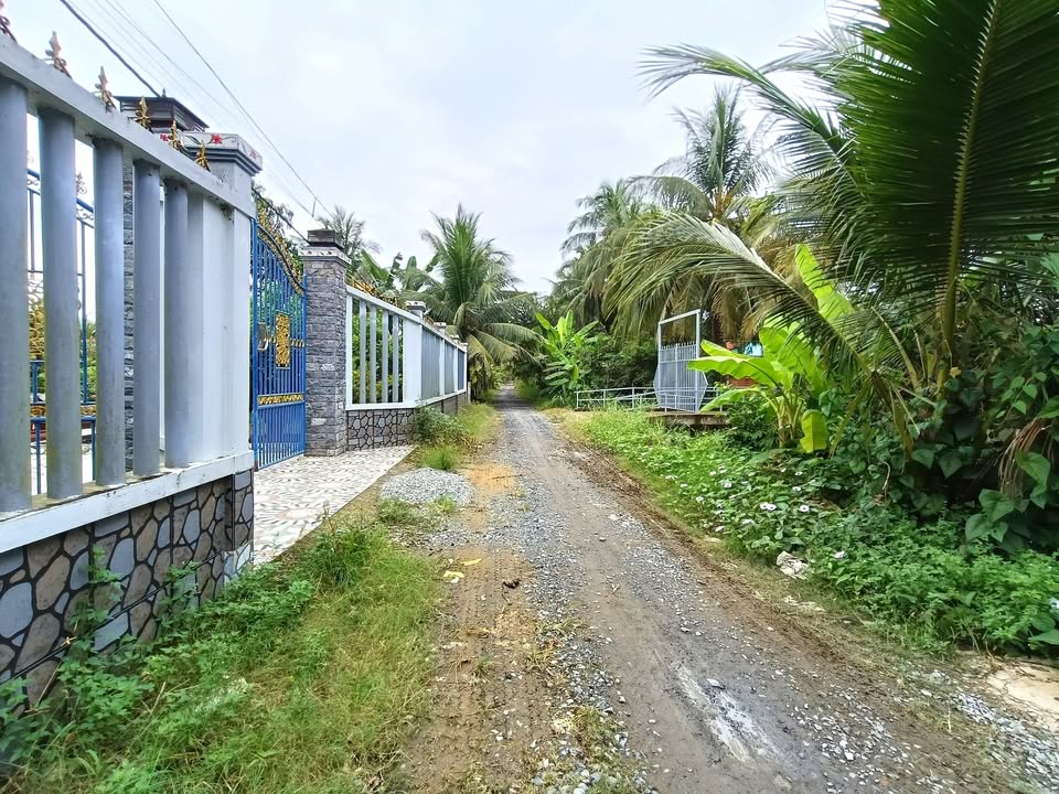 Bán nhà vườn xã An Thạnh Thủy, huyện Chợ Gạo, 572m² giá 1.1 tỷ - Sổ đỏ chính chủ!