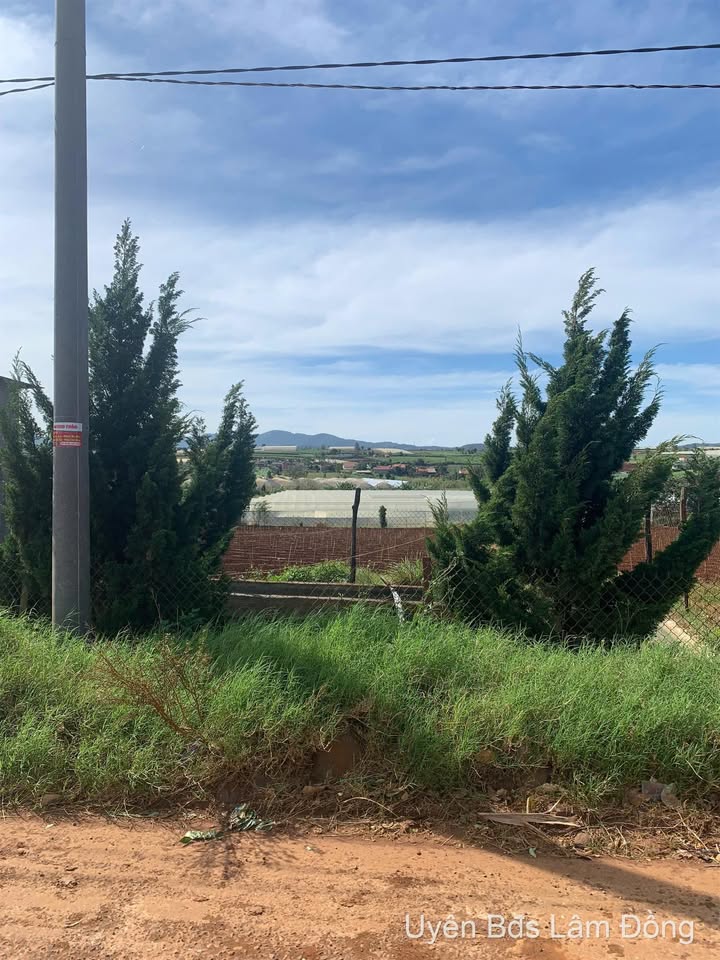 Đất thổ cư Đạ Ròn 72m² giá 940 triệu - Cơ hội đầu tư hấp dẫn!