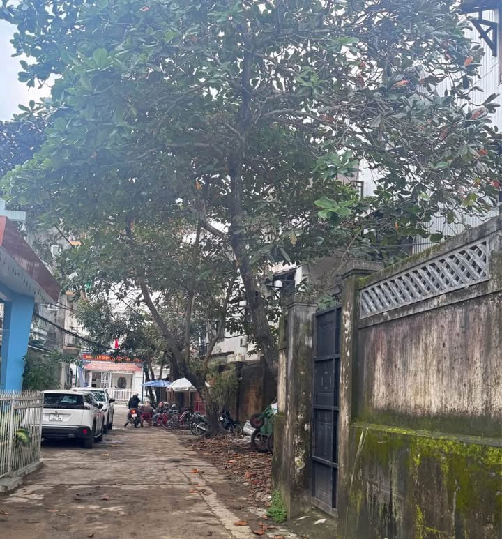 Đất kiệt Hàm Nghi, TP Huế 64,5m² - Chính chủ, sổ đỏ, giá tốt!