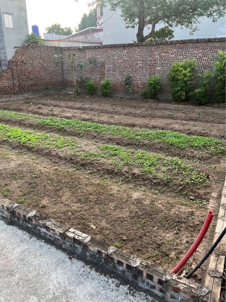 Đất đẹp Xuân Lâm, Thuận Thành 82m² chỉ 3.55 tỷ - Đầu tư an toàn!