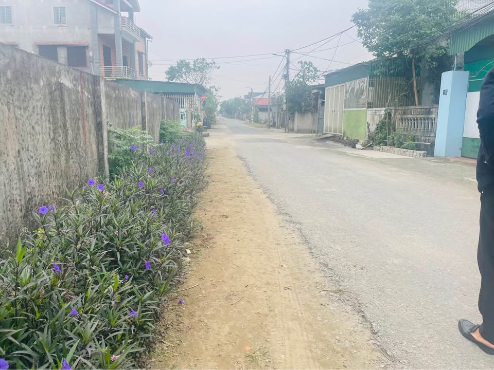 Đất mặt đường Kim Mỹ, Nghi Ân 100m² giá 3.3 tỷ - Tiềm năng sinh lời cao!