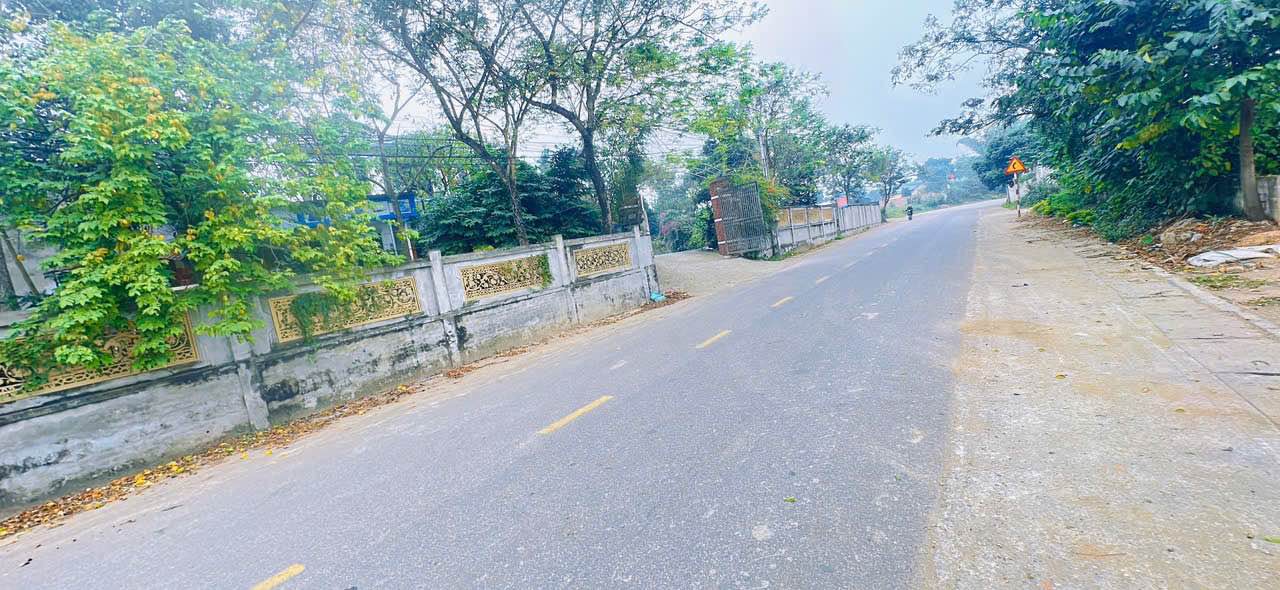 Đất vườn mặt tiền 20m tại Tam Dương 600m² giá 2 tỷ - Đầu tư sinh lời ngay!