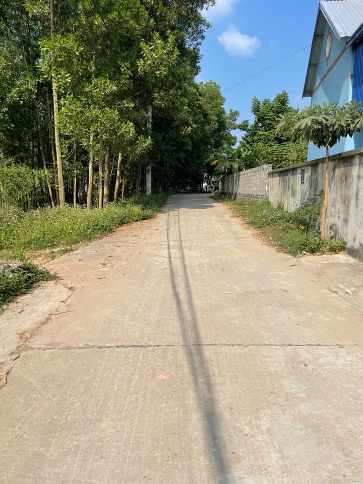 Đất đầu tư Hồng Tiến, Phổ Yên 500m² giá chỉ 2.9 tỷ - Cơ hội vàng cho nhà đầu tư!