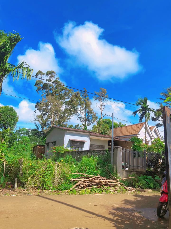 Đất nền Cư Kuin Đắk Lắk 185m² giá chỉ 550 triệu - Sổ đỏ chính chủ!