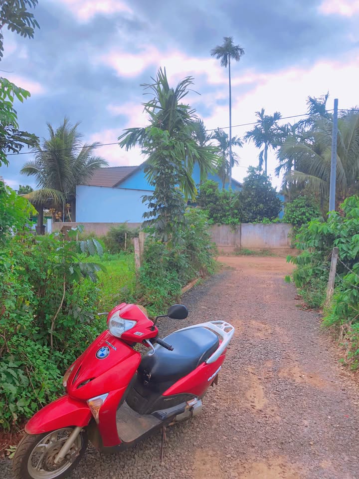 Đất nền thôn 2a, xã Ea Ktur, huyện Cư Kuin, 782m² - Góc 2 mặt tiền, giá chỉ 5.78 tỷ!