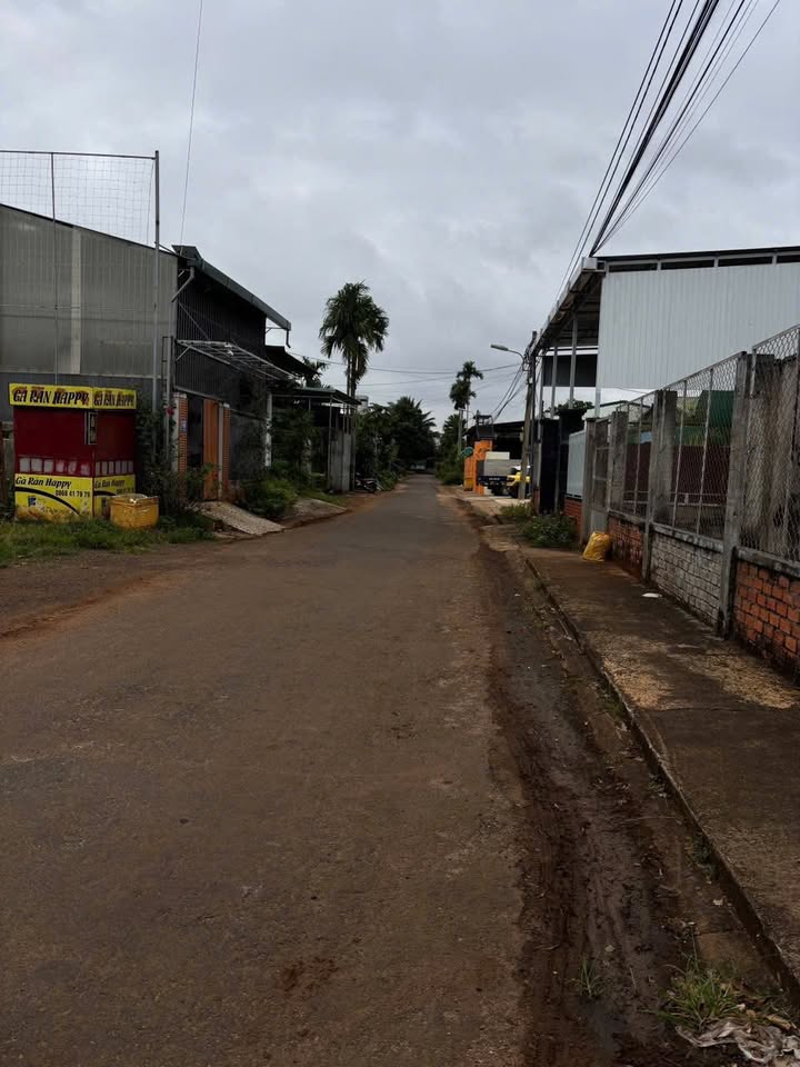 Lô đất Tân Hoà Buôn Ma Thuột 150m² giá chỉ 1.5 tỷ - Sổ đỏ chính chủ!