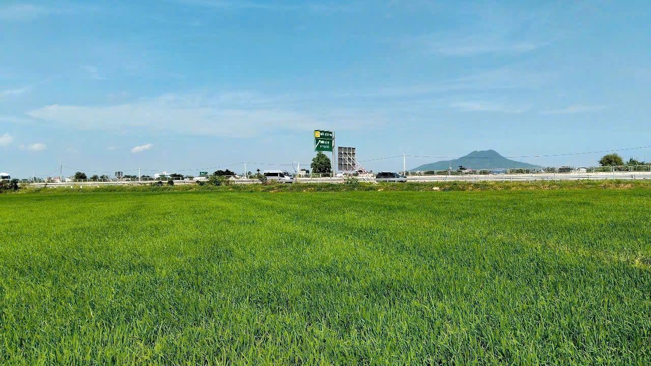 Bán đất lúa 3 sào tại Lâm Hoà, Ma Lâm, giá 1.08 tỷ - Sổ hồng riêng