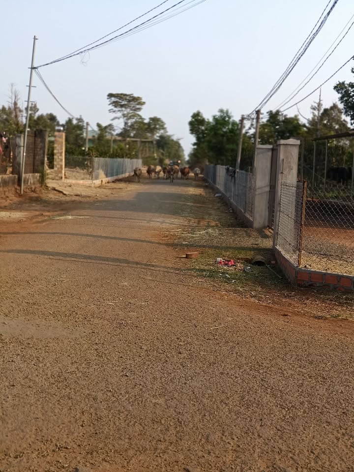 Đất nền An Phú, Pleiku 90m² giá 280 triệu - Cần tiền gấp bán nhanh!