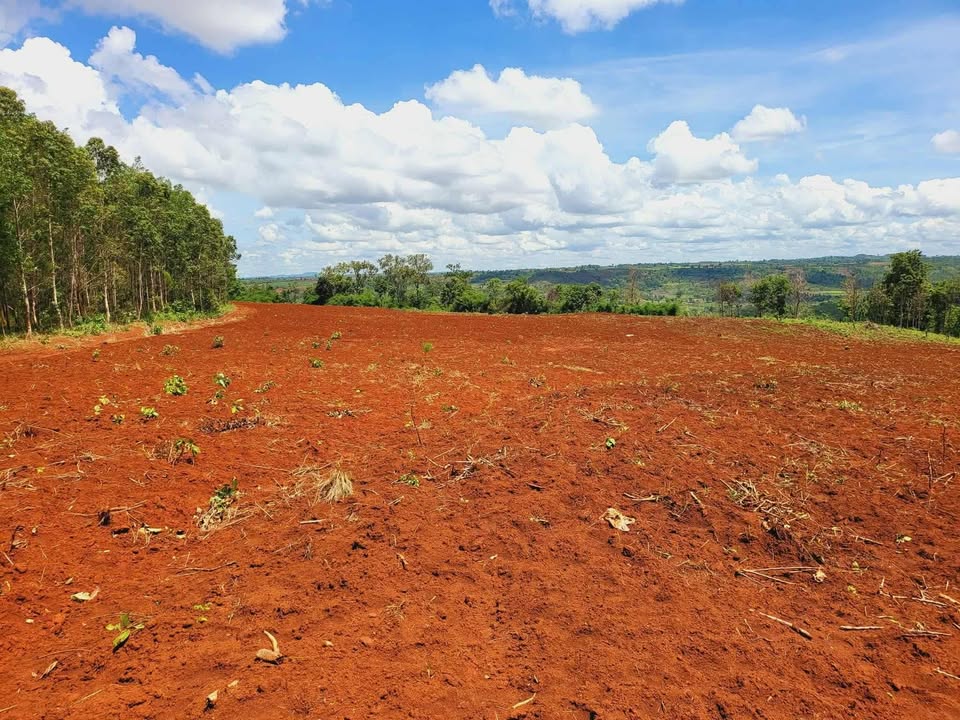 Đất Farm 1,1ha tại xã Đê Ar, huyện Mang Yang chỉ 800 triệu - Cơ hội đầu tư hấp dẫn!