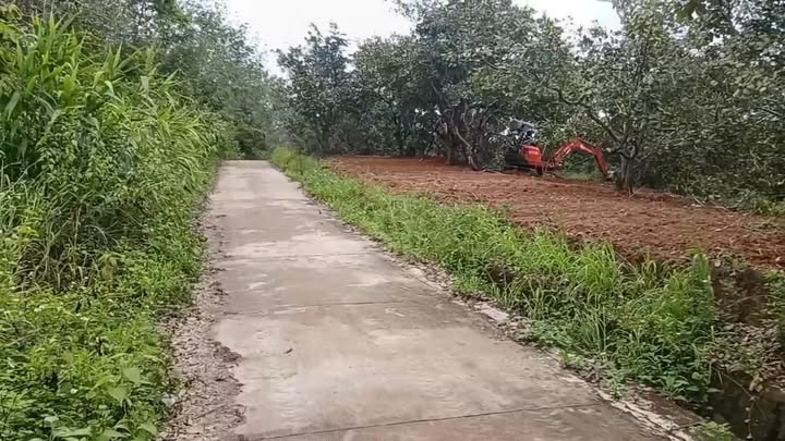 Đất nền Ia Tô, Ia Grai 10.000m² giá chỉ 1 tỷ - Cơ hội đầu tư sinh lời!